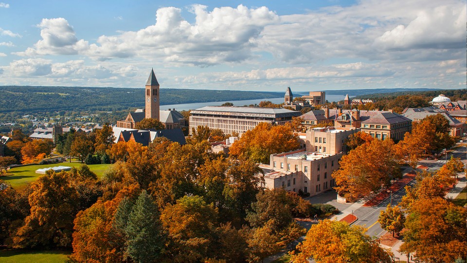 cornell university